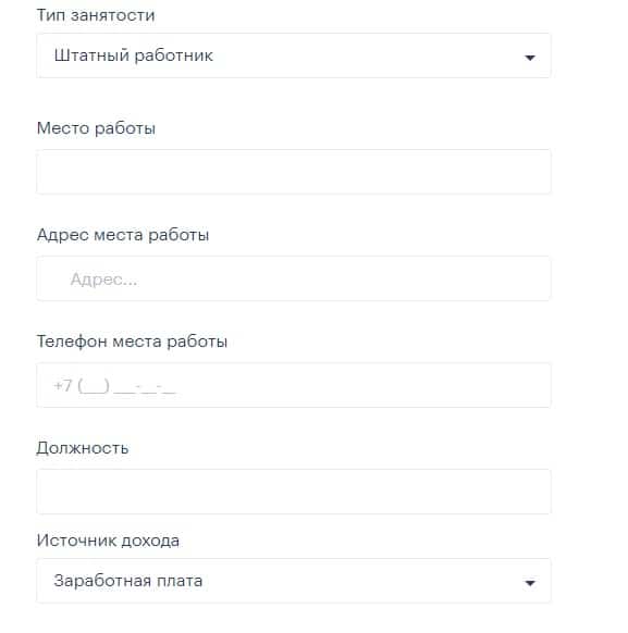 Указание вида занятости